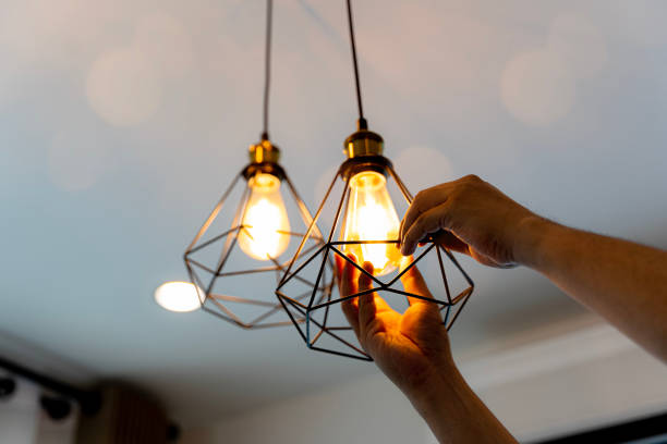Best Outdoor Lighting Installation  in Fox Lake, WI
