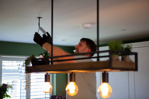 Best Outdoor Lighting Installation  in Fox Lake, WI