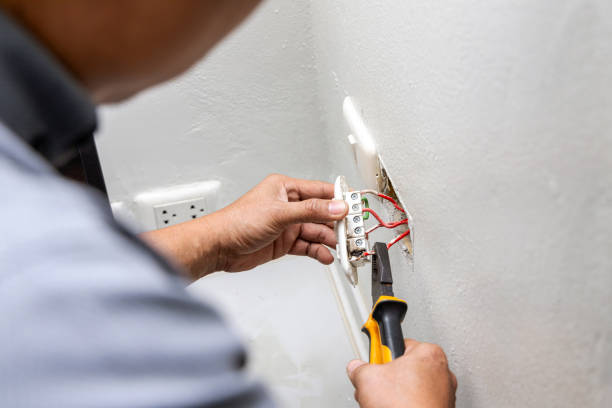 Best Generator Installation Services  in Fox Lake, WI